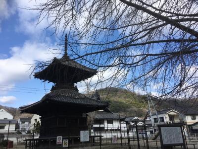 岡山☆愛犬と多宝塔のある公園と菜の花を見に行きました