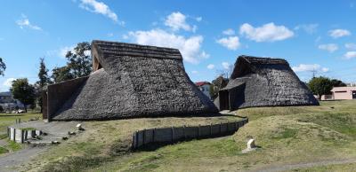 日本の2000年前の暮らしを想像する登呂遺跡~富士山はずっと見てたかな