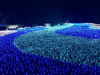 2020.2 ３年半ぶりの微熟女３人旅in奈良②…なら瑠璃絵、そして奈良で「寅さん」とまさかのオフ会