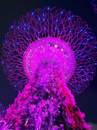 シンガポール初めての友人と行くバースデー旅