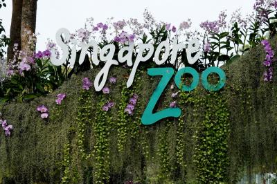 動物ずくめのシンガポールひとり旅 13 シンガポール動物園 入園！の部