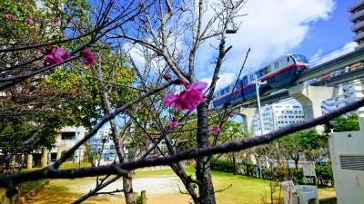 花見とそばと酒と