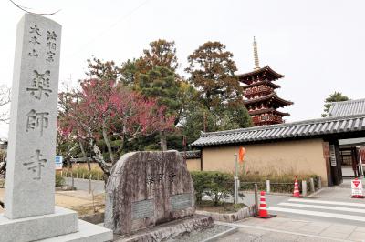 奈良ホテルに泊まる１泊２日の旅～2日目：元興寺・唐招提寺・薬師寺