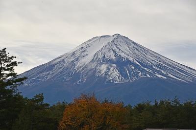 世界遺産「富士山」の構成資産巡りツアーー秋の部ー
