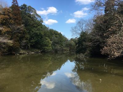 冬の坂田ヶ池公園