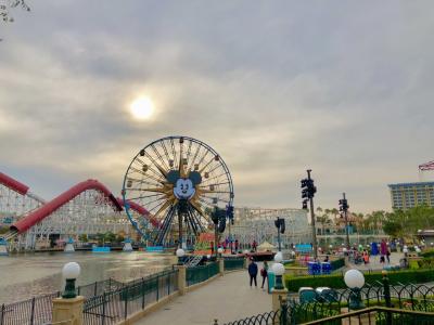 憧れのカリフォルニアディズニーの旅～帰国日