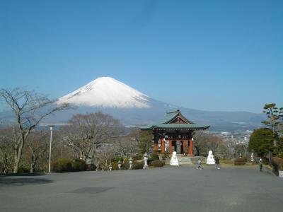 早春の富士山をみる