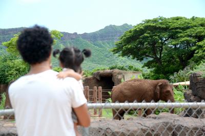 【1歳&amp;3歳】初めての子連れハワイ⑦ - KCCファーマーズマーケットからホノルル動物園 -