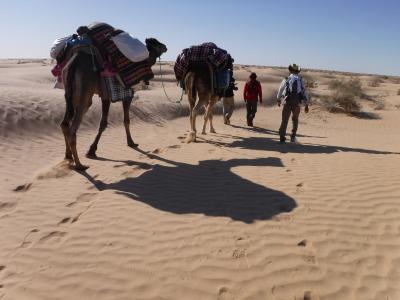 アフリカ　サハラ砂漠をラクダと共に歩く９－３　ﾄﾚｯｷﾝｸﾞ２日目