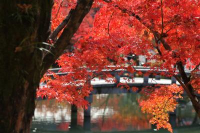 秋の京都