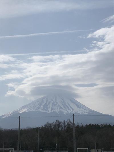 切り絵の森美術館によって、身延山ロープーウエイ、久遠寺