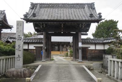 2020新春、織田信長生誕の地(3/5)：勝幡(3)：勝幡城下町、勝幡稲荷社、西蓮寺、紅梅