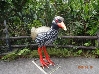 忘備録★1月恒例沖縄旅前編★東南植物楽園・ DINO恐竜PARK　やんばる亜熱帯の森