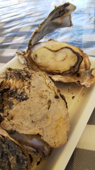 赤穂へ牡蠣を食べに行ってきました。~キャンプ~