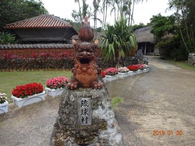 忘備録★1月恒例沖縄旅後編★琉球村・おきなわワールド