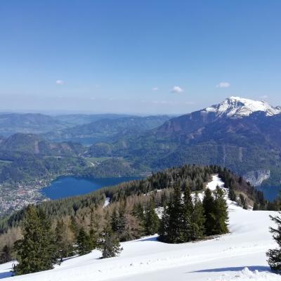 オーストリアで自然を楽しむ旅・３（2019年4月-5月　ザンクト・ギルゲン、ウィーン編）