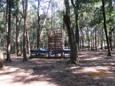 柏市手賀の丘公園・アスレチック 