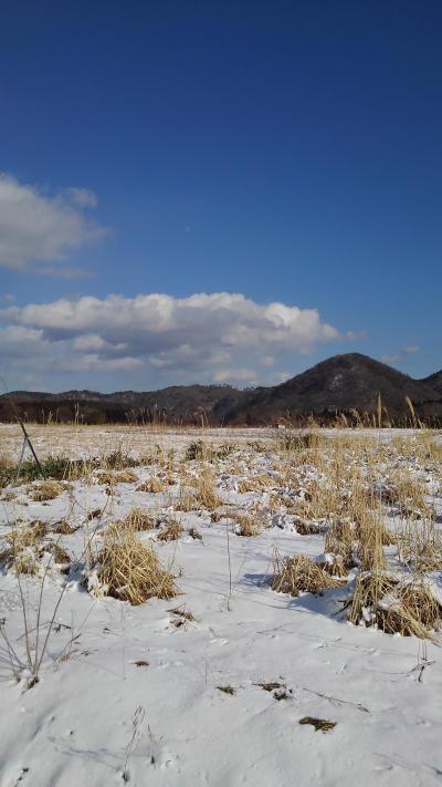 初めての鳴子温泉峡ー中山平温泉