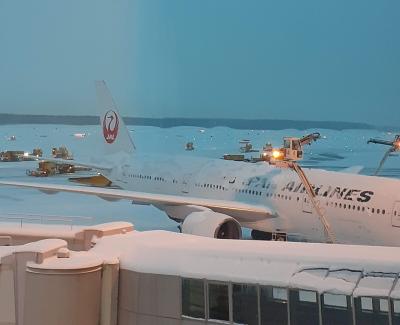 ぱくぱくモグモグ漫遊記~ちょっと早いバースデーフライトの巻 前編