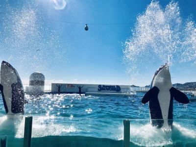 【動画あり】鴨川シーワールド日帰りバスの旅