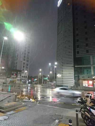 こんな時ですが・・・ソウルに行ってきました(;´Д`) 2日目!