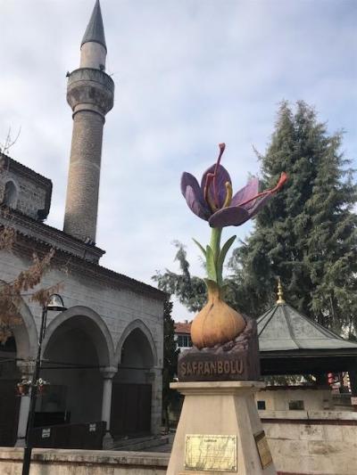 世界遺産 トルコの古民家の街並みのサフランボル