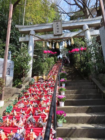 春よ来い　座間神社　ひな祭り　　千体の雛
