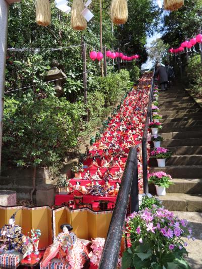 座間神社　千体のひな人形　境内までの77段の階段の片側を埋め尽くしています