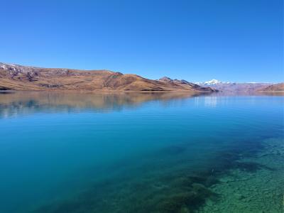 h4000越えに犬とヤク～チベット5
