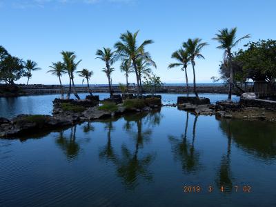 ハワイ島　フェアモントオーキッド４泊　④　OVER６０夫婦ドライブ旅　パワースポットを求めて　フィッシュポンド