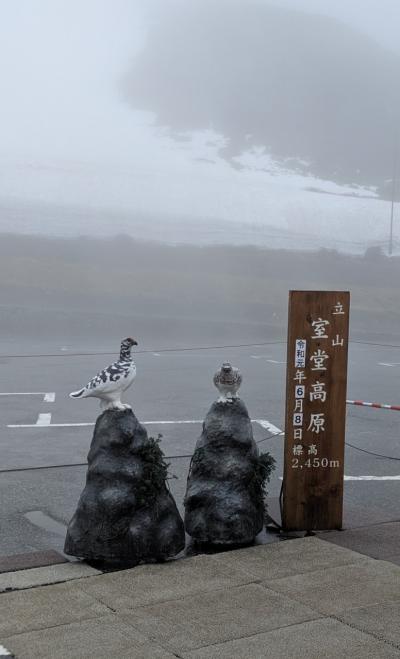 雨男雨女の立山黒部アルペンルート(^^)　＆　松本 国宝！