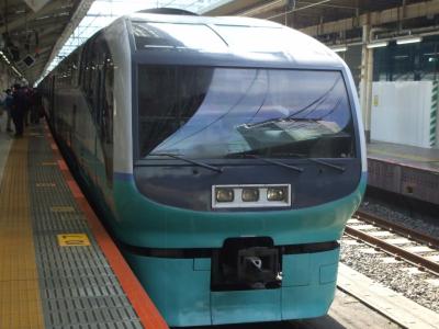 ２０２０年　３月上旬　南伊豆・・・・・①特急スーパービュー踊り子号惜別乗車