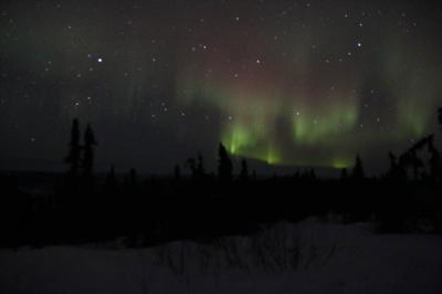 アラスカオーロラの旅２