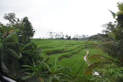 20年ぶりのインドネシア（２）ジャカルタからジョクジャカルタへ