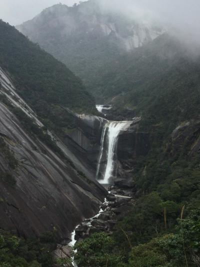 雨と山の屋久島(ビーチ、滝、ガジュマル)