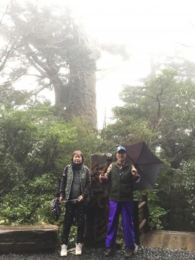 雨と山の屋久島(ヤクスギランド)