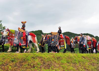 華やかに着飾った馬たちの行進★チャグチャグ馬コ（うまっこ）★岩手の初夏の風物詩★