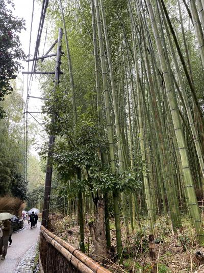 嵐山、嵯峨野へ