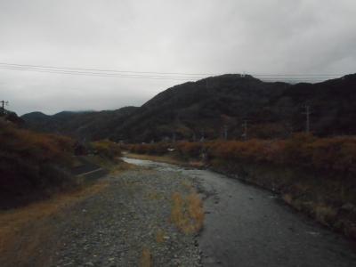 ２０２０年　３月上旬　南伊豆・・・・・⑧河津桜観賞