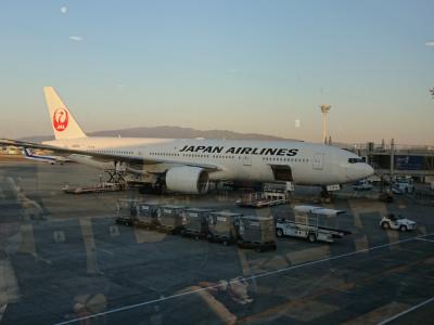 アメリカ 空港ラウンジ に関する旅行記 ブログ フォートラベル アメリカ 空港ラウンジ に関する旅行記 ブログ フォートラベル