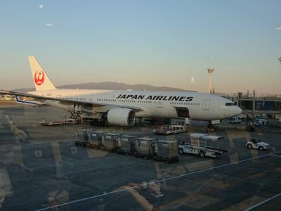 これからいってきます！JALとアメリカン航空で行くニューヨーク&カンクン  ***羽田空港より 