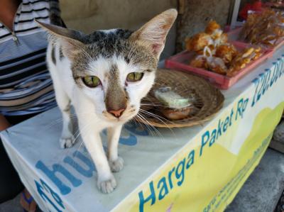 バリ島、さぬーる旅 2