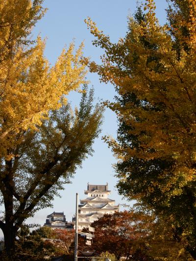 兵庫県*姫路*