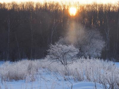 冬のそなたは十勝（７）～3日目早朝更別の樹氷を見るぞ編