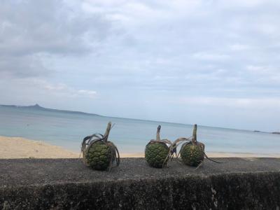 【沖縄本島】最後の家族4人旅