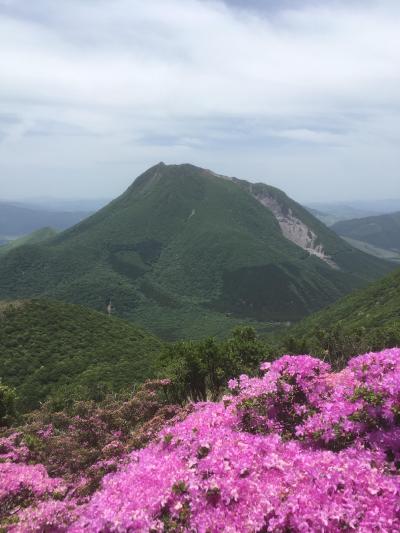 どこかにマイルで　ミヤマキリシマ　と　黒川温泉　と　臼杵大仏