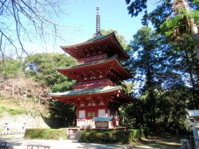 史跡・横須賀城跡と遠州三山をめぐる