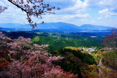 高木聖鶴 かな 色紙 吉野 桜 奈良 高木聖鶴 かな 色紙 吉野 桜 奈良