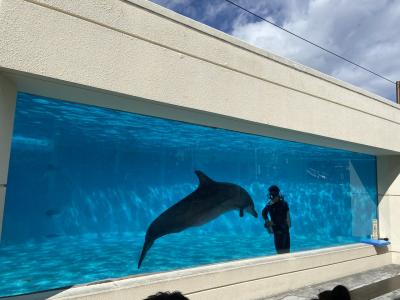 寒い東京を抜け出し、美ら海バスツアー