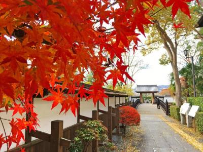 ふらっと豊中・池田サイクリング